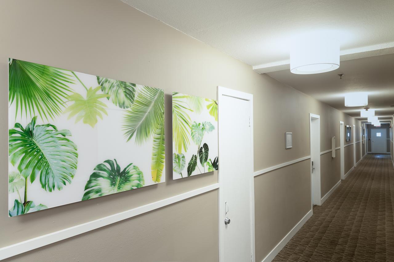 President Hotel Miami Beach Ngoại thất bức ảnh