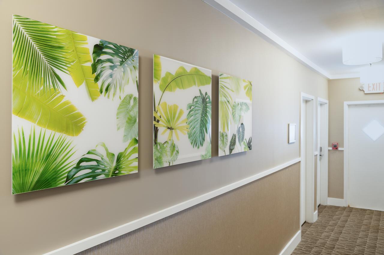 President Hotel Miami Beach Ngoại thất bức ảnh